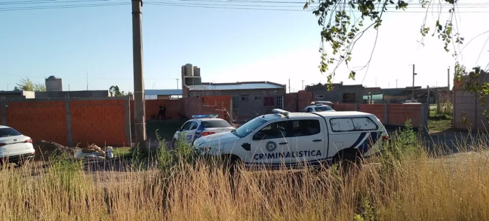 Las tareas se llevaron a cabo durante esta tarde de jueves. 