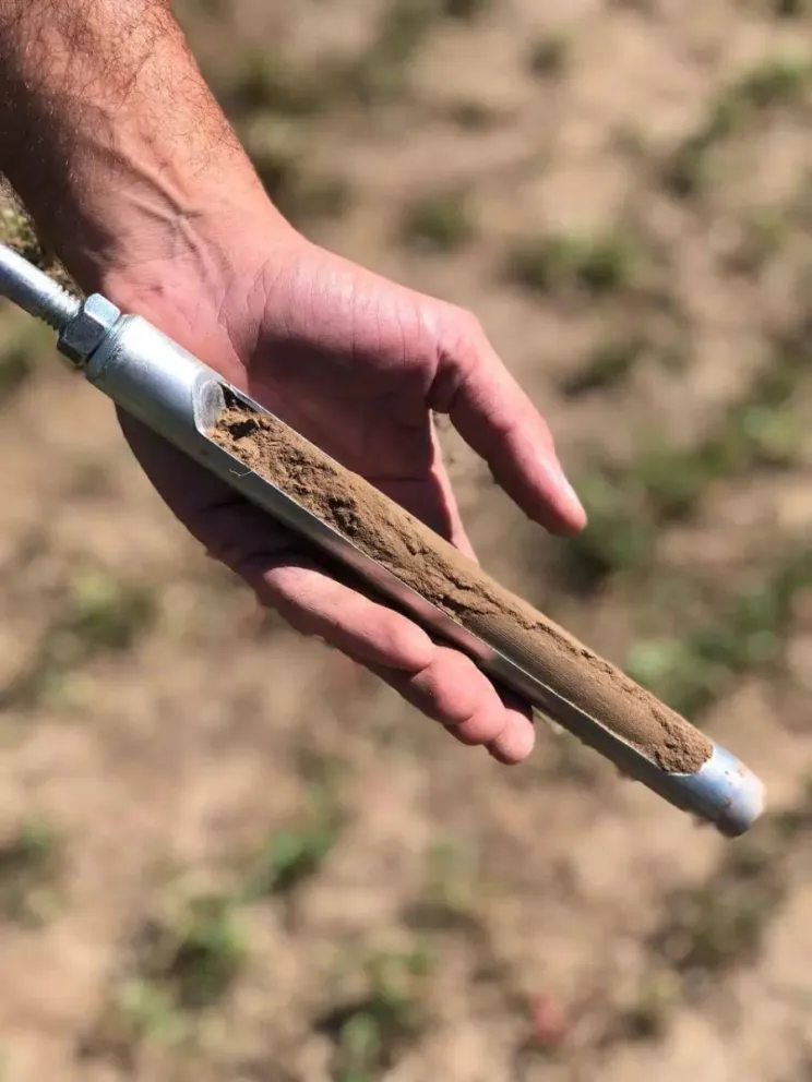 Para optimizar el uso de fertilizantes. 