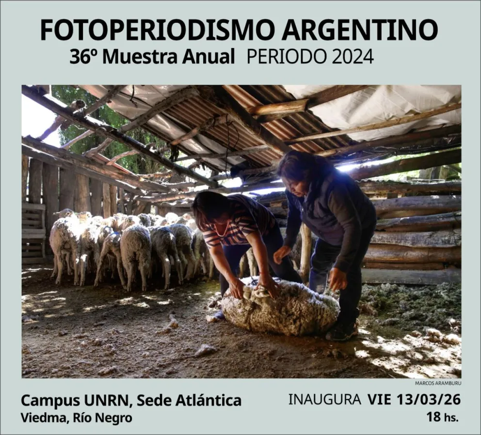 Las obras en exposición pertenecen a más de 85 reporteras y reporteros de todo el país.