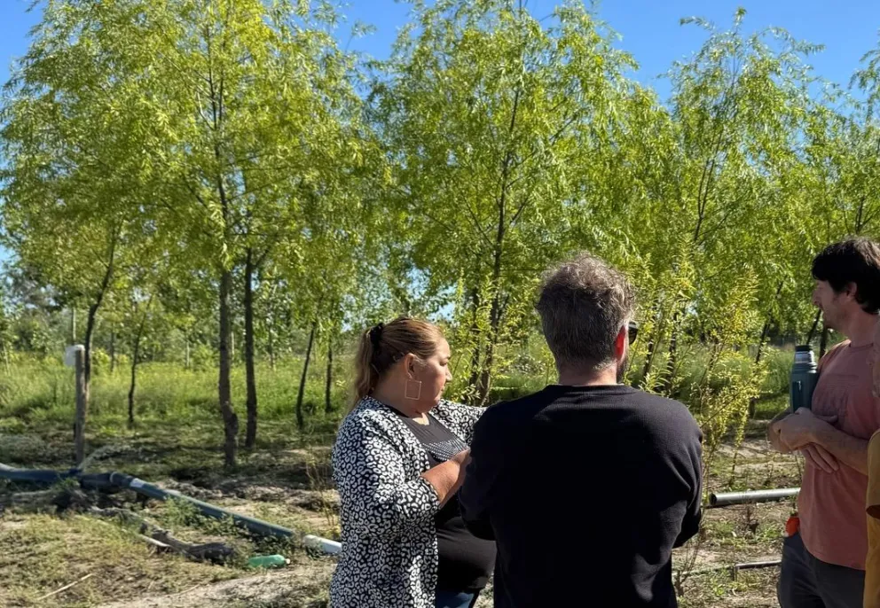 Las plantas en pleno crecimiento. Fotos gentileza.
