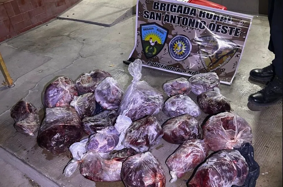 El resultado del operativo nocturno sobre la Ruta Provincial 61. 