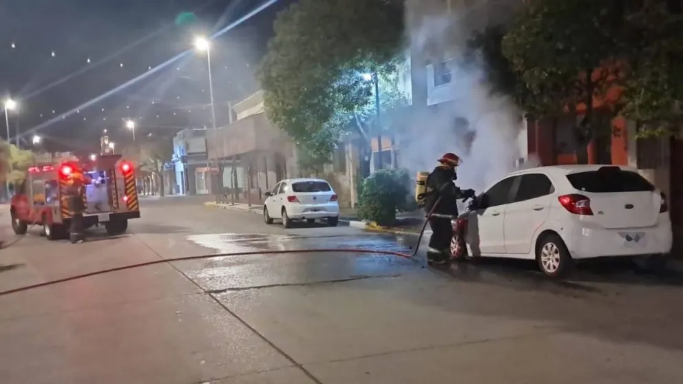 Rápida intervención del personal de Bomberos Voluntarios de Carmen de Patagones. 