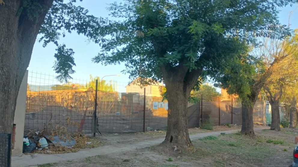 Los árboles están ubicados sobre la calle Sarmiento entre Las Heras y Alvear de la ciudad capital. Foto NoticiasNet (archivo).