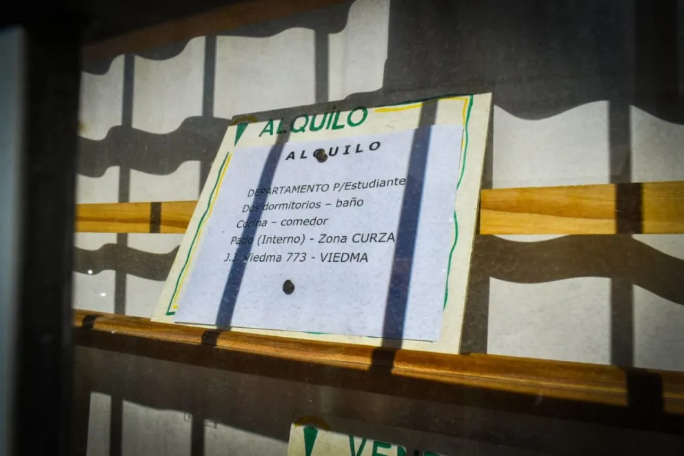 El sector refleja un mercado con reglas claras, pero con dificultades para ambas partes. Fotos: Vanesa Schwemmler para NoticiasNet.