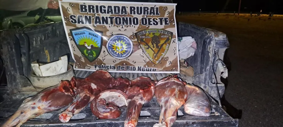 Gracias a un operativo de la brigada rural lograron dar intervención a fauna y multar al conductor. 