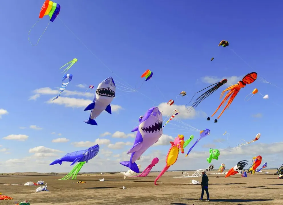 Actividades deportivas, espectáculos y propuestas gastronómicas.