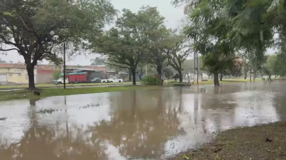 El hecho ocurrió en la capital provincial. 