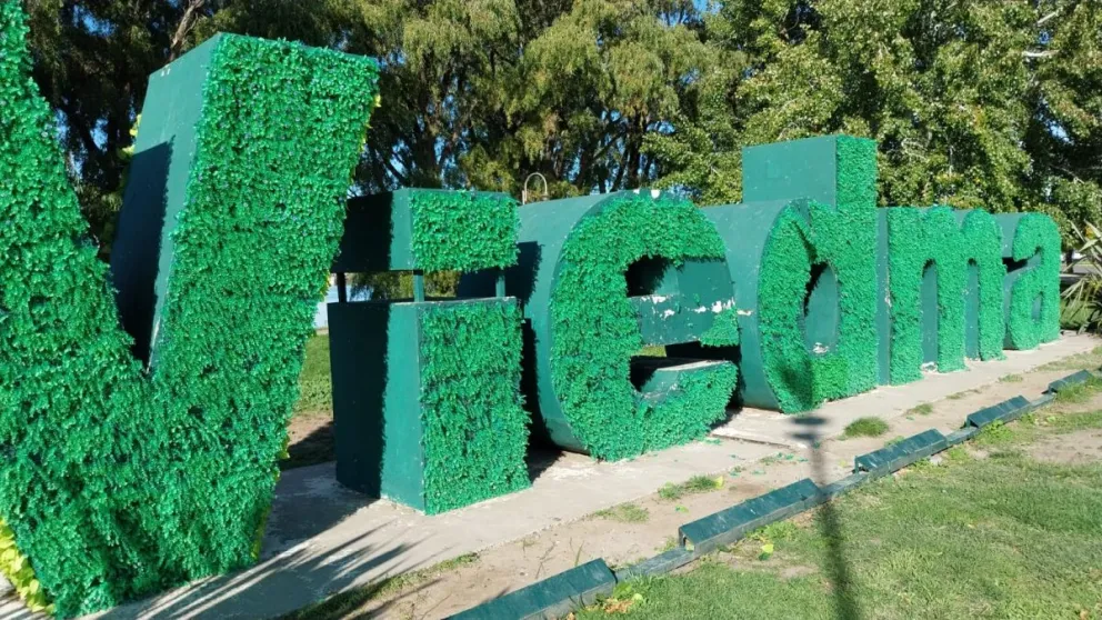 El follaje artificial fue arrancado en varios sectores.