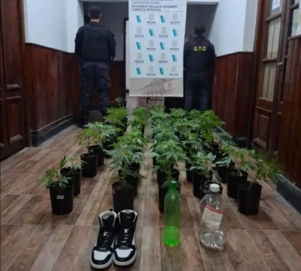 Incautación en la localidad de Patagones. Foto Estación Comunal. 