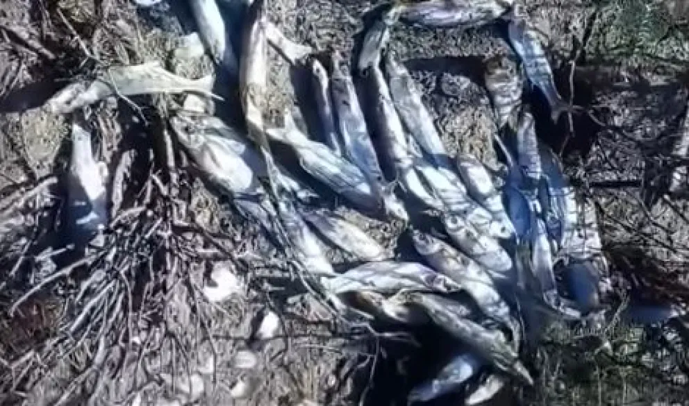 La postal del desprecio por los recursos que indigna a la comunidad. 