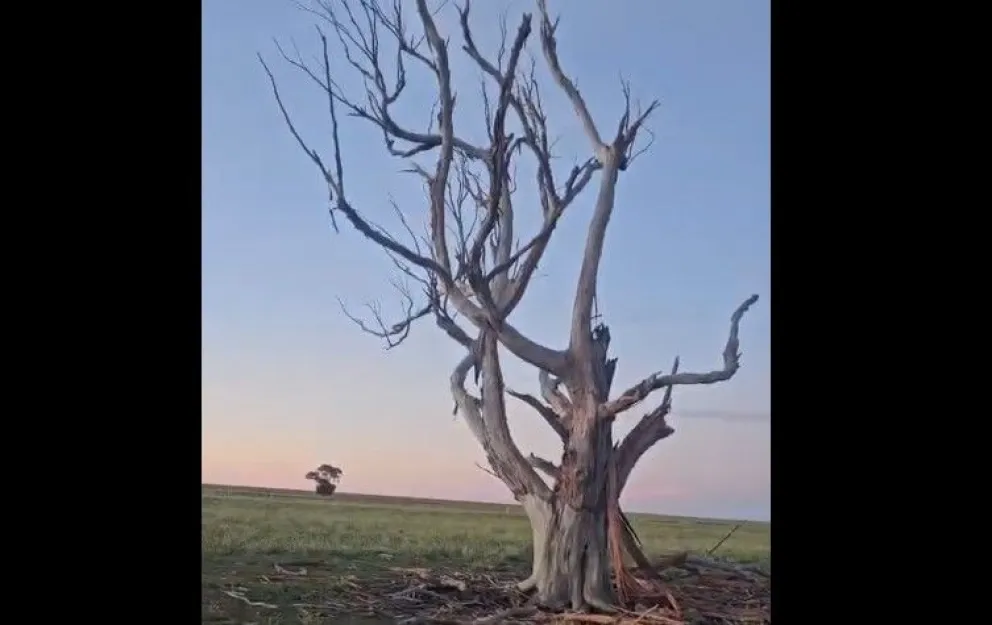 "El ruido fue algo impresionante", afirmó Solaiman. 