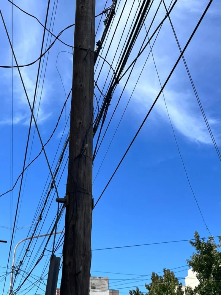 Centro de Viedma. Fotos: Gentileza