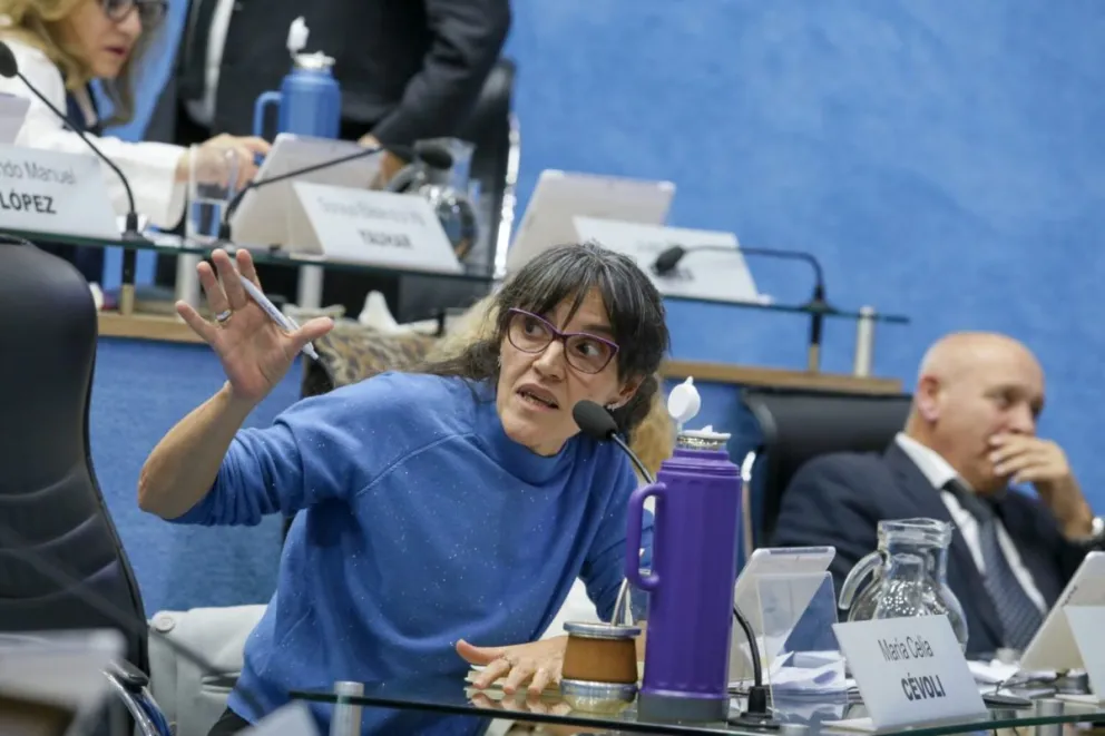 Maricel Cévoli, legisladora de Juntos Somos Río Negro. 