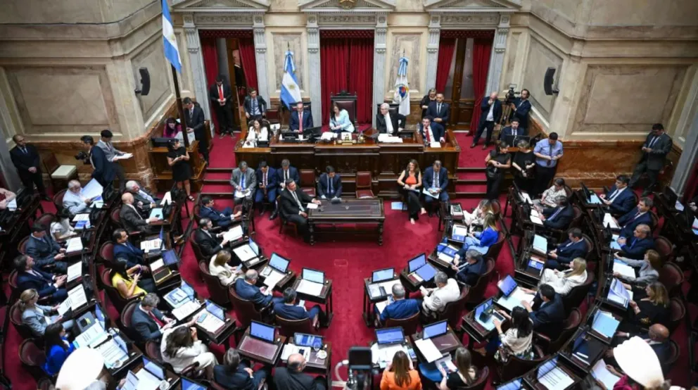 El proyecto entró al Senado.