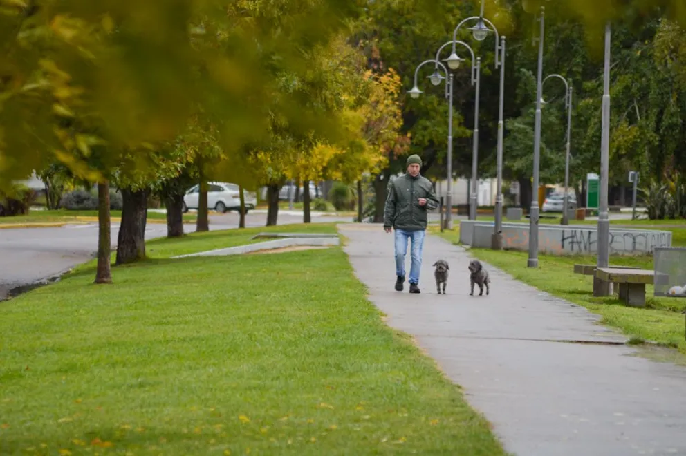 Se esperan condiciones similares y nubosidad para los próximos días. 