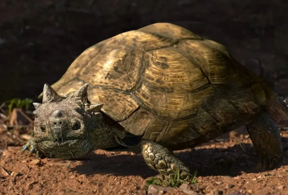 La nueva especie fue denominada Patagoniaemys aeschyli. Foto Gobierno de Río Negro.
