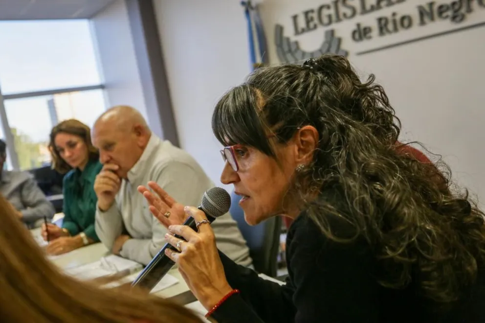 La norma busca unificar criterios bajo una estructura federal de cuatro distritos.