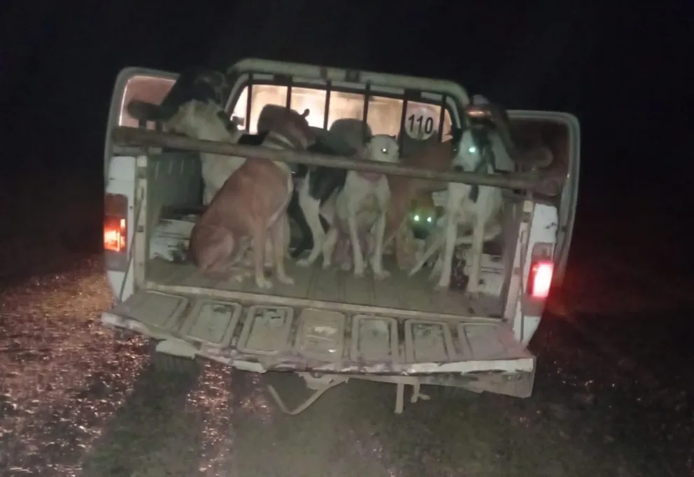 Practicaban la caza con perro y de manera irregular. Foto gentileza.