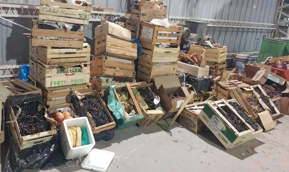 Los elementos decomisados por personal del control fitosanitario. 