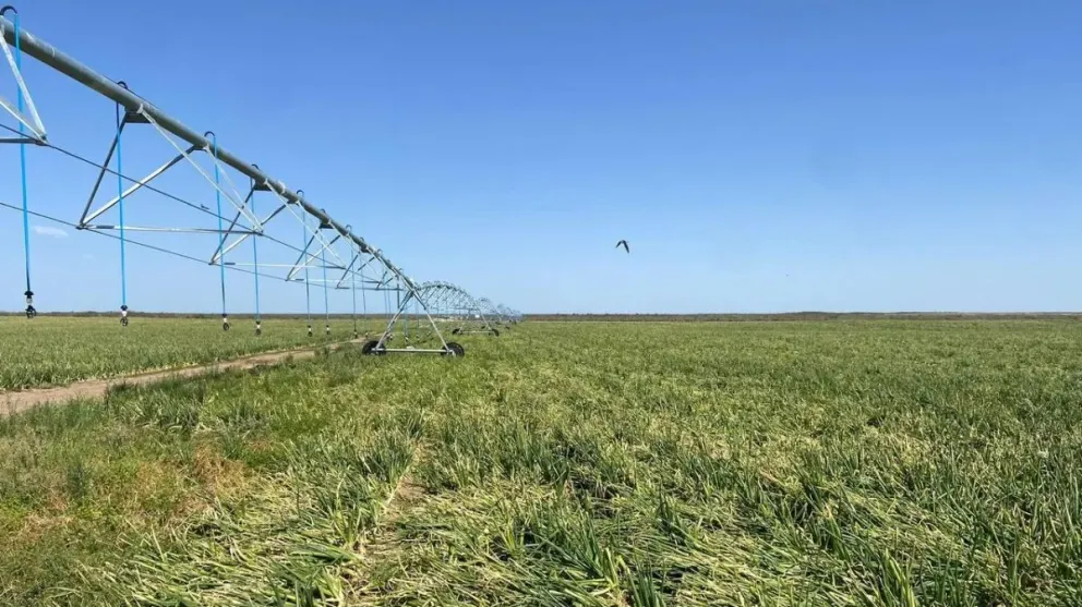 "Buscamos bajar los costos para que nuestros productos sean competitivos", sostuvo.