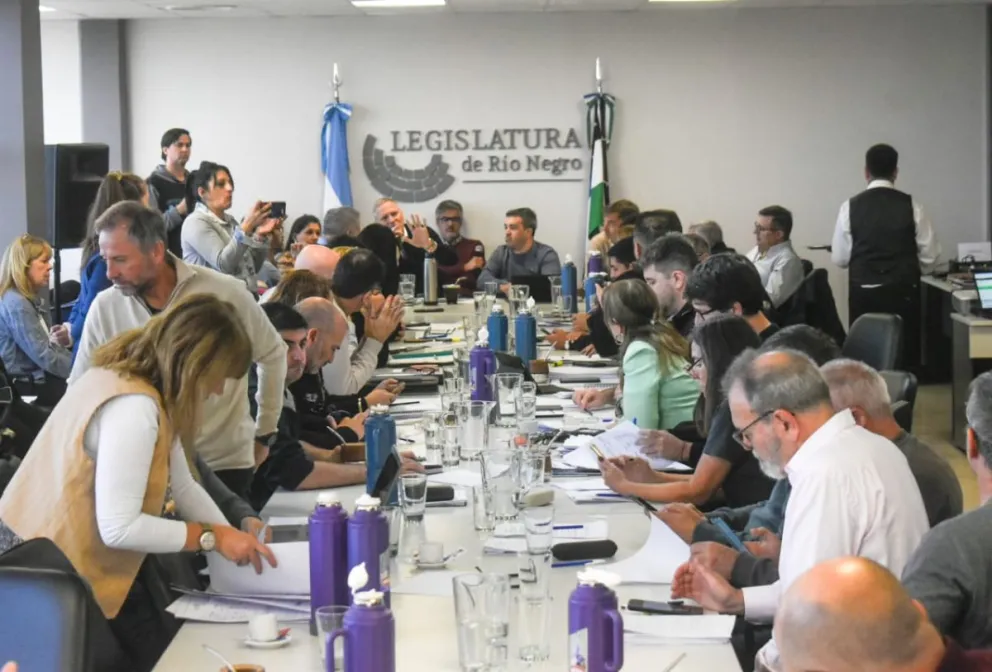 Definido el orden del día, la Legislatura de Río Negro convocó a sesionar este jueves 30 desde las 8. La aplicación de pistolas Taser támbine forma parte de la grilla de discusiones cuando los parlamentarios bajen al recinto. Foto: Vanesa Schwemmler.
