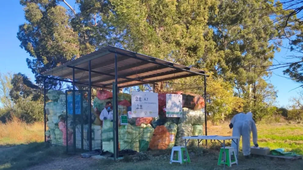 Esta política pública es impulsada por la Secretaría de Ambiente y Cambio Climático en articulación con CampoLimpio. Foto:
Gobierno de Río Negro
