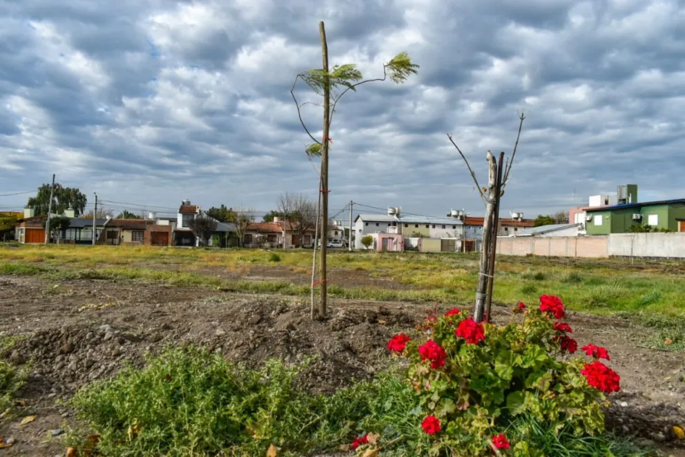 Lo que antes era un baldío ahora, de a poco, se irá transformando en un nuevo espacio verde para la capital provincial. Plantarán 45 especies allí. Foto Vanesa Schwemmler para NoticiasNet.
