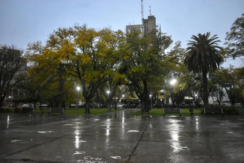 Continúa vigente la alerta amarilla por vientos y se mantienen las guardias activas de todos los equipos de la Municipalidad.  Fotos Vanesa Schwemmler.