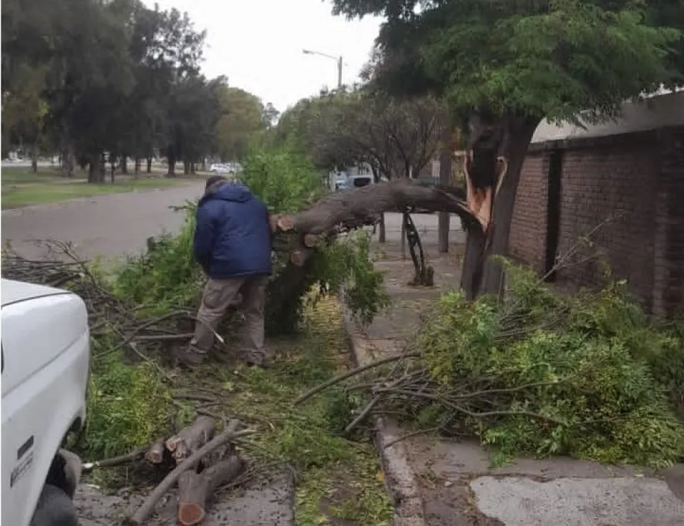 Las tareas del área de Espacios Verdes un día antes evitó que existieran más complicaciones. 