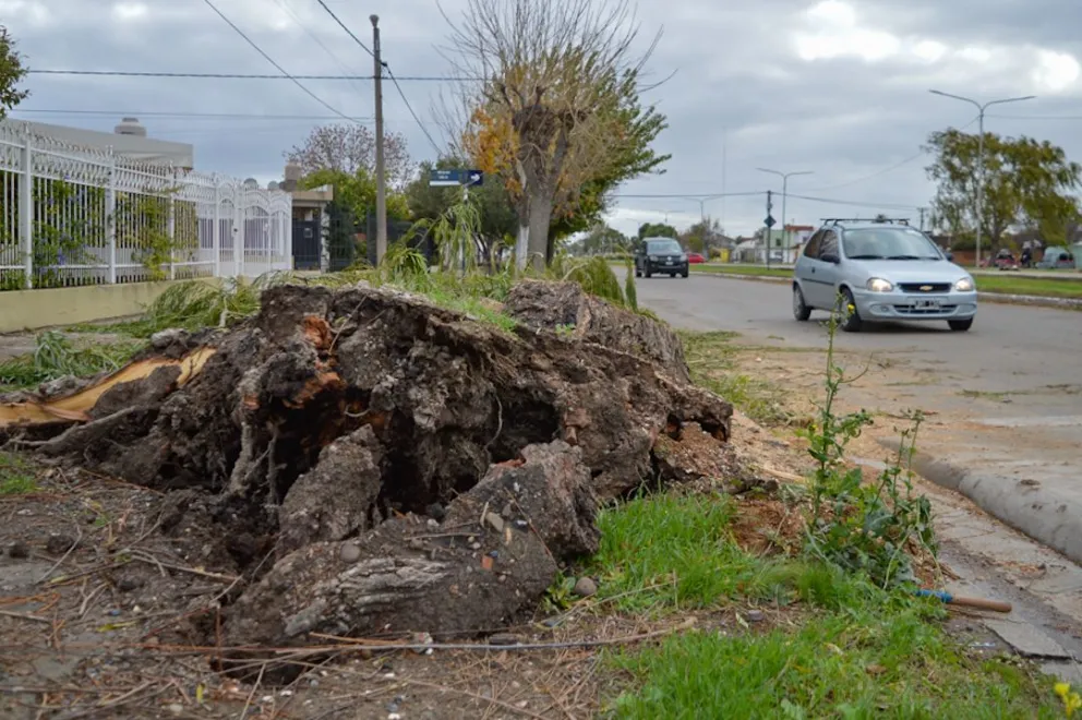 Las condiciones ventosas continuarán durante el viernes y el sábado. Foto: Archivo de NoticiasNet. 