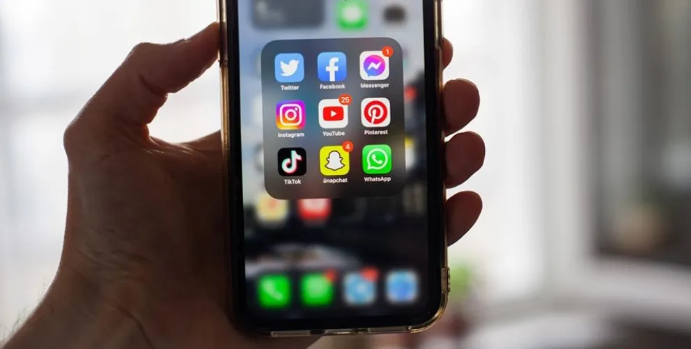 Curso para dominar las principales redes sociales. 