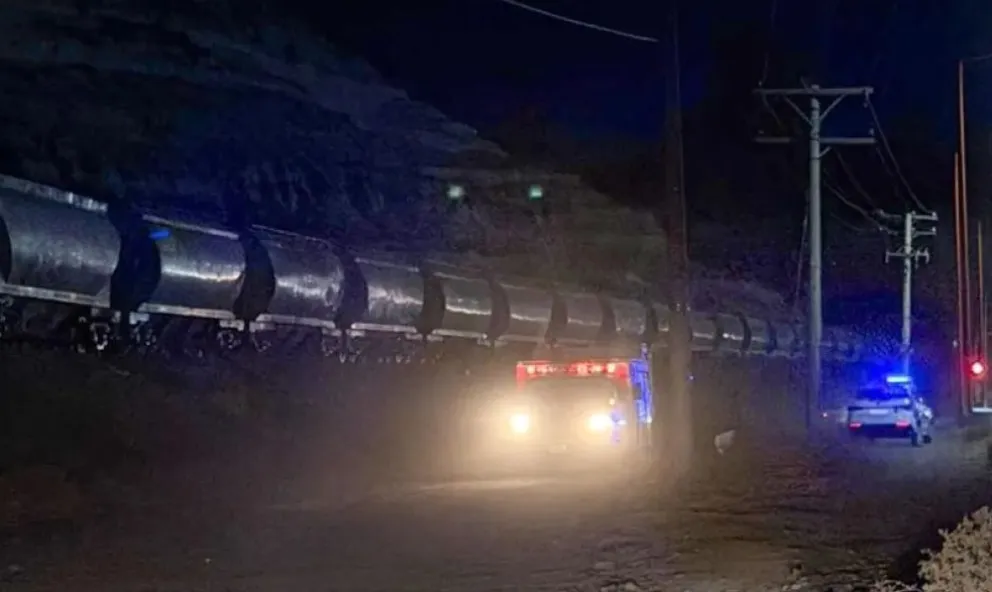 La formación del tren de cargas arrolló a un hombre que murió frente al barrio El Sauce en el ingreso oeste a Villa Regina. Foto: gentileza