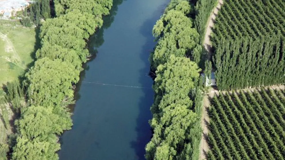 Río Negro se encamina a una matriz productiva agrícola que podría potenciar a la región en la próxima década. 