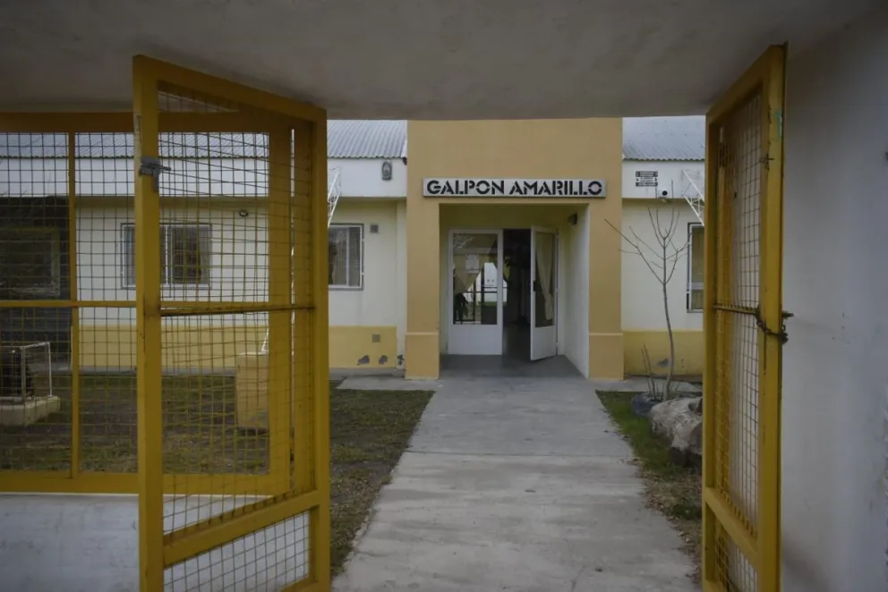 Nelly Costa, referente local de salud, detalló las edades de mayor riesgo y el preocupante impacto que ya se registra en la salud materno-infantil de la ciudad. Foto: Archivo.