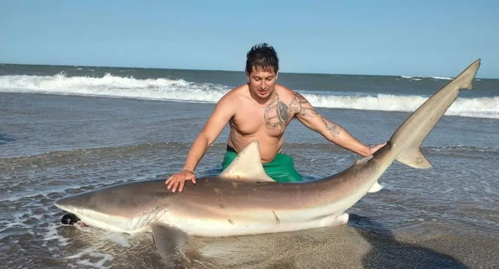 El portentoso mamífero marino llegó a pasar tan cerca que incluso quedó enganchado ligeramente en una tanza lanzada por el muchacho, aficionado a la pesca. Foto facebook.