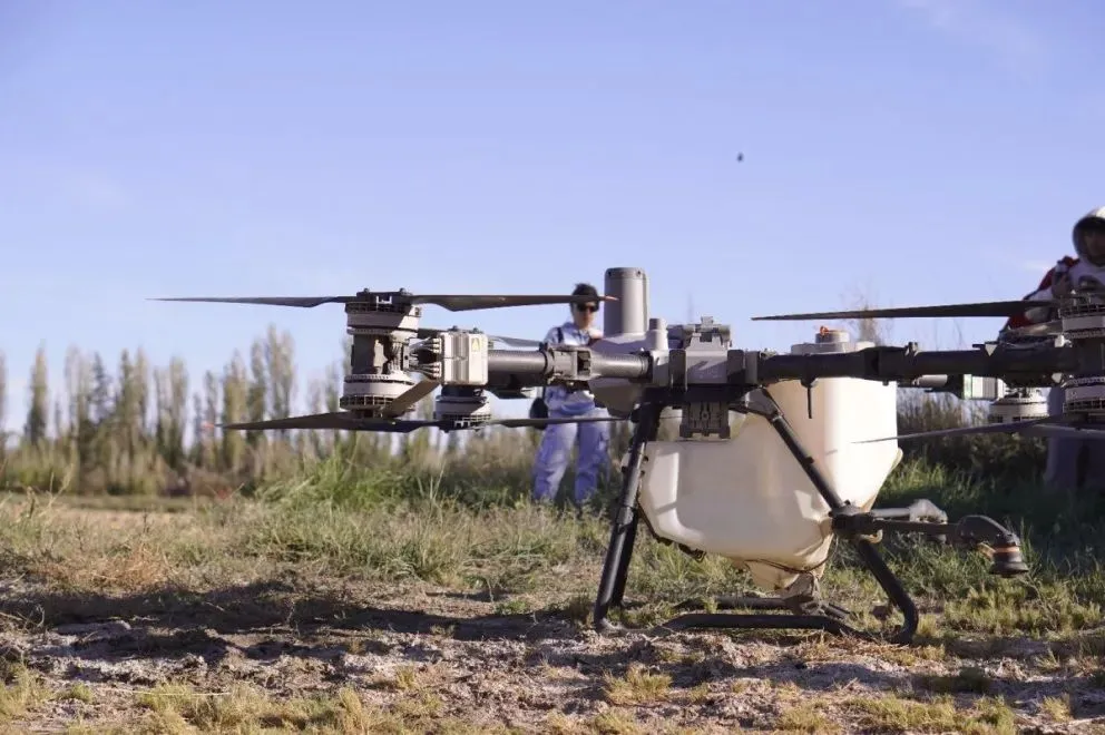 La siembra de cebada forrajera se realizó con drones agrícolas en una parcela productiva del Ceaer. Foto: Ceaer.
