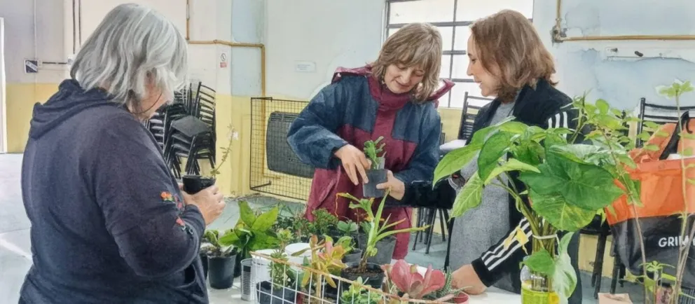Intercambio de plantines y semillas, una experiencia de economía social y comunitaria. 