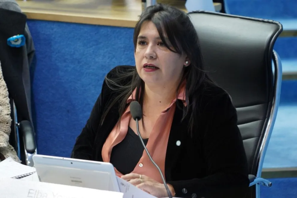 Yolanda Mansilla, legisladora promotora de la propuesta. 