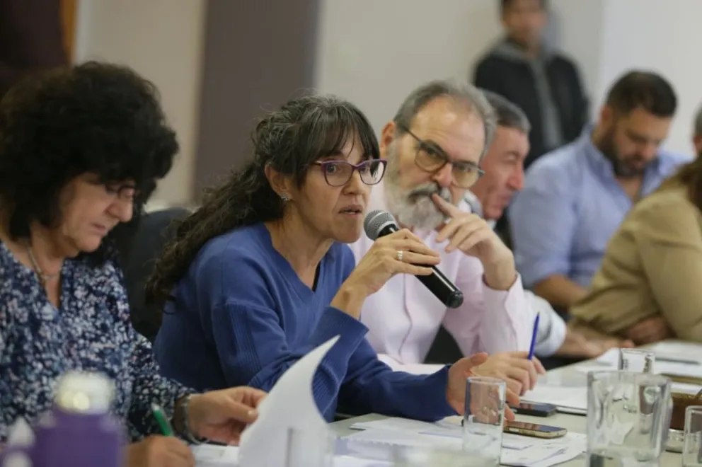 Desde la violencia simbólica hasta las omisiones institucionales: los detalles de una reforma que promete debate. Foto: Legislatura de Río Negro.