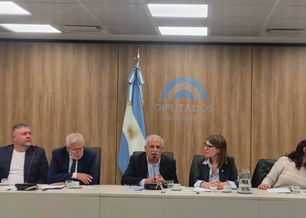 La resolución aprobada por la Cámara de Diputados de la Nación fue presentada como un nuevo paso en las gestiones para posicionar la conmemoración de la Gesta del 7 de Marzo en el ámbito nacional. Foto: Gentileza. 