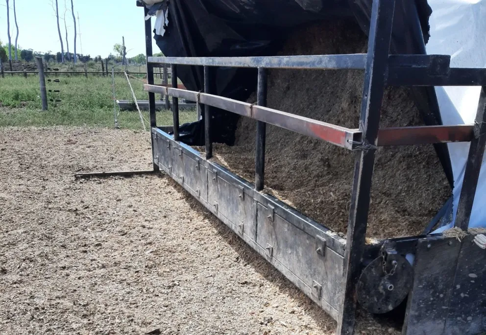 La estructura vinculada a las propuestas que se estimulan para mejorar el rinde del volumen alimenticio. Foto gentileza: INTA-Valle Inferior.