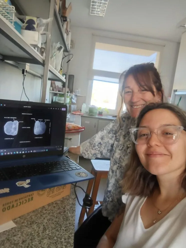 El trabajo aporta herramientas para su identificación y para futuros estudios sobre su presencia en la región. Foto: UNRN