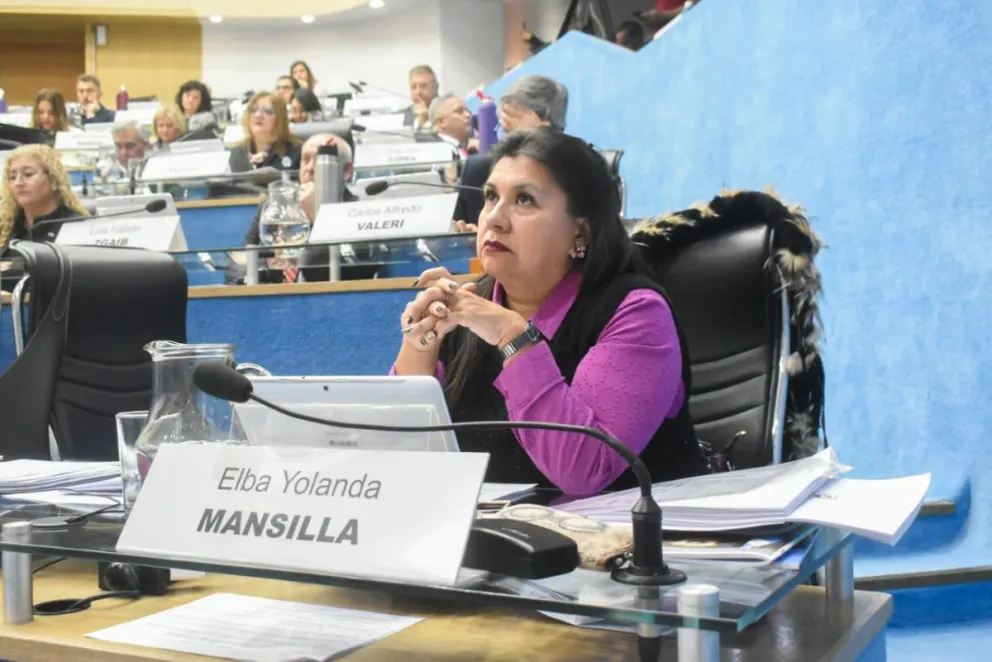 El proyecto para que la Policía de Río Negro utilice pistolas no letales fue creado por Yolanda Mansilla. Foto: Vanesa Schwemmler para NoticiasNet.