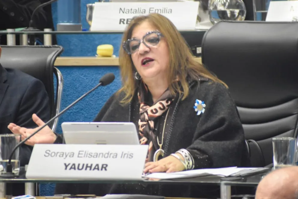 La legisladora Soraya Yauhar (JSRN), como miembro informante, fue la encargada de presentar y defender el proyecto. Foto: Vanesa Schwemmler