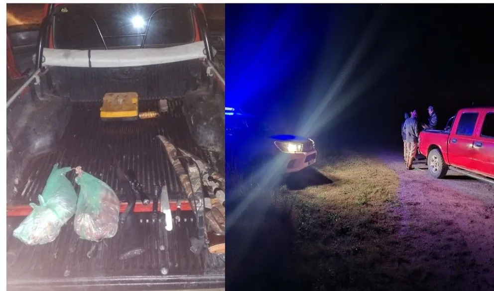 Aunque los papeles de la camioneta y de las armas estaban al día, el transporte del animal violaba el Código Rural - foto gentileza.