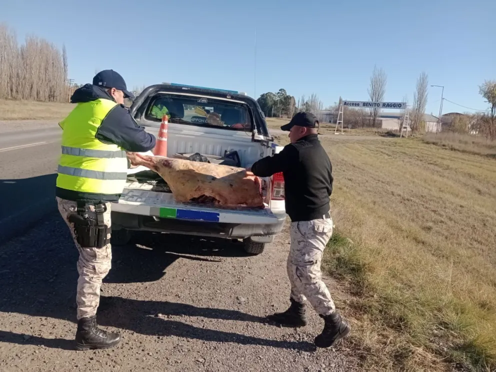 Se constató que la mercadería provenía de una faena clandestina en un establecimiento no autorizado.