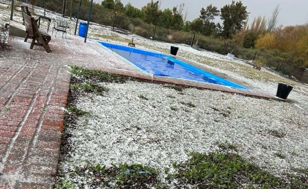 No duró mucho, pero sí dejó una capa fina y delicada de nieve que se posó sobre la vegetación. Fotos e imágenes de gentileza.