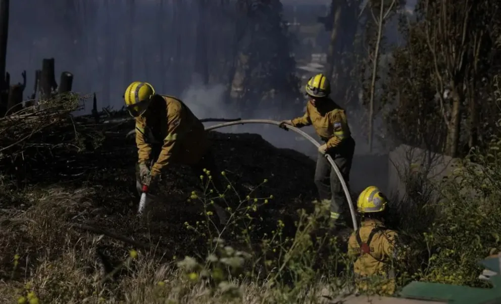 Desde el área de Recursos Forestales explicaron la importancia de realizar esquemas de quema controlada y chipeo antes de septiembre. Foto: Gobierno de Río Negro.