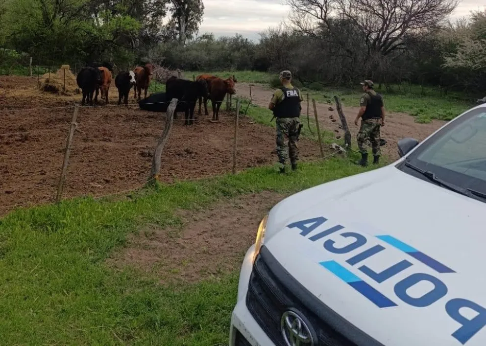 Los hechos de caza ilegal ocurrieron en julio de 2025, pero un procedimiento posterior en Pedro Luro permitió secuestrar armas y cerrar una causa clave -foto gentileza.