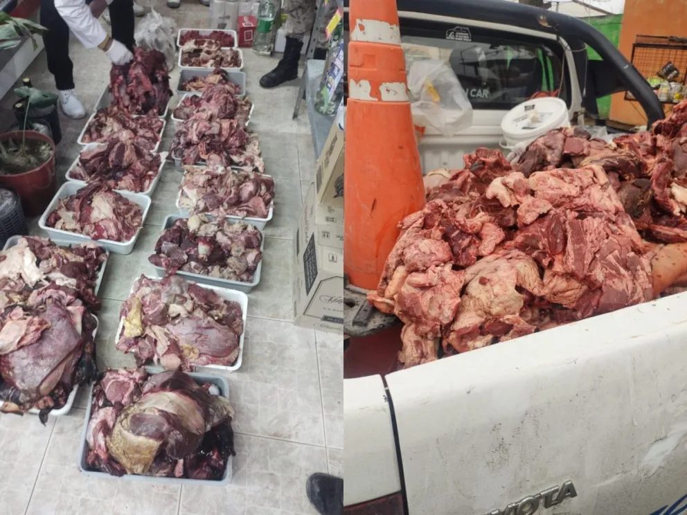 Un sorpresivo golpe policial y bromatológico dejó al descubierto toneladas de carne sin sellos, restos de dudosa procedencia y un peligro sanitario inminente. Fotos: Gentileza.
